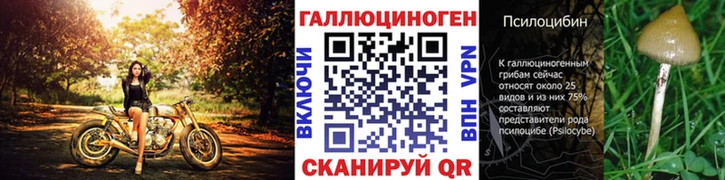 закладка  kraken рабочий сайт  Псилоцибиновые грибы Psilocybe  Волосово 