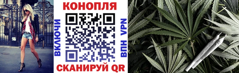 Шишки марихуана OG Kush  цена   Волосово 